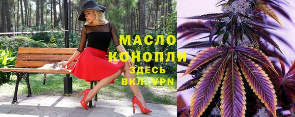 твердый Бородино