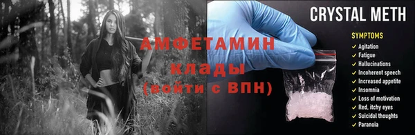 твердый Бородино
