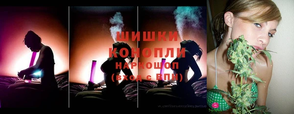 твердый Бородино