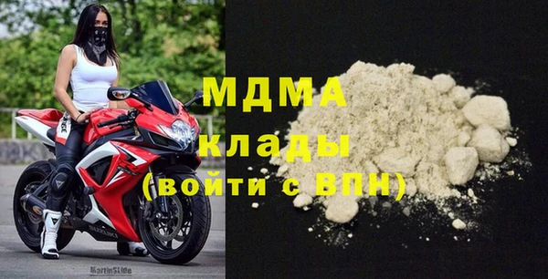 твердый Бородино
