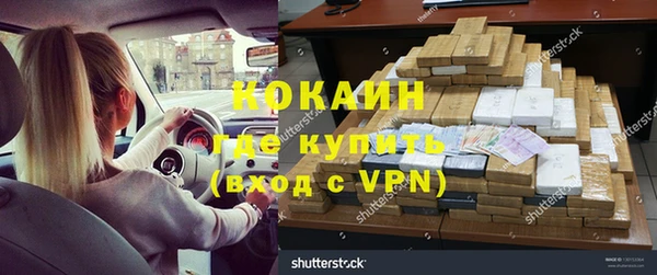 твердый Бородино