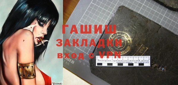 твердый Бородино