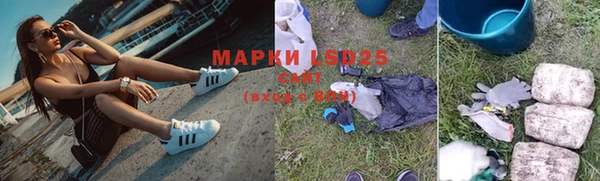 твердый Бородино